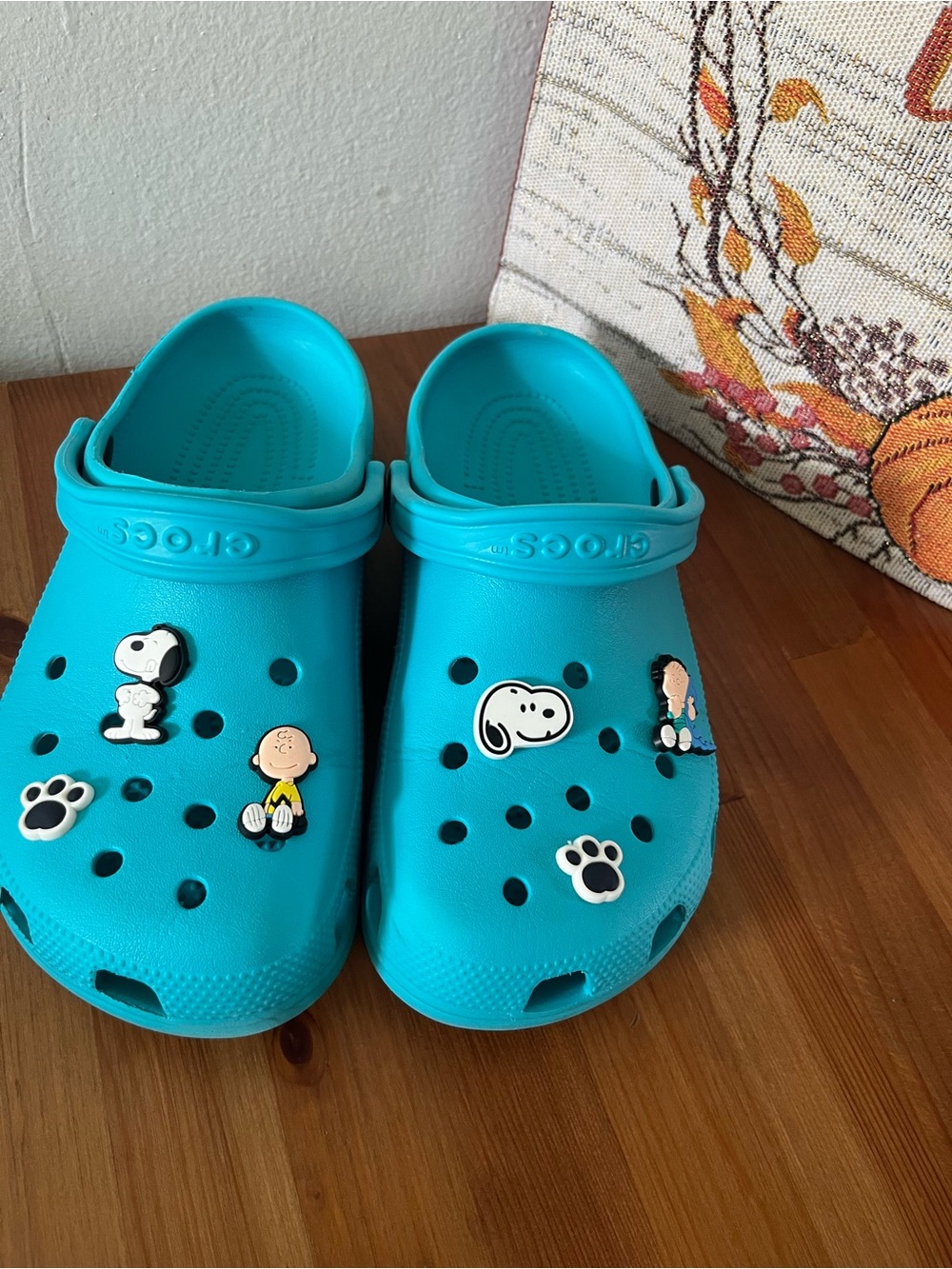 Unisex Women’s/Mens Teal Clog Shoes with Peanuts Charms